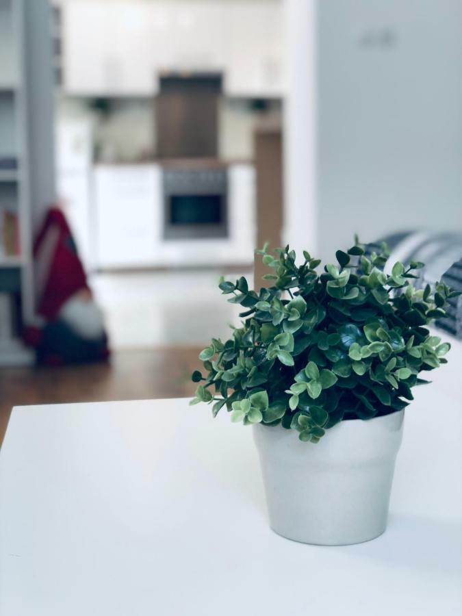 Klimo Apartment Pécs Eksteriør billede